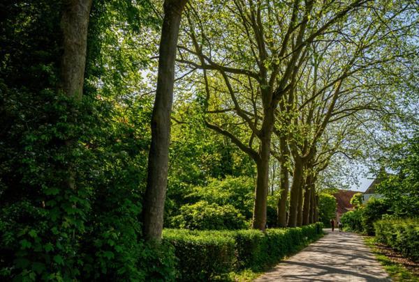 Natuurhuisjes Lust En Last Sommelsdijk Esterno foto